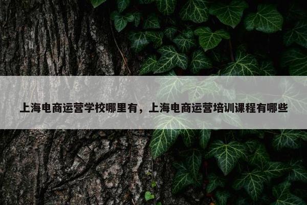 上海电商运营学校哪里有，上海电商运营培训课程有哪些