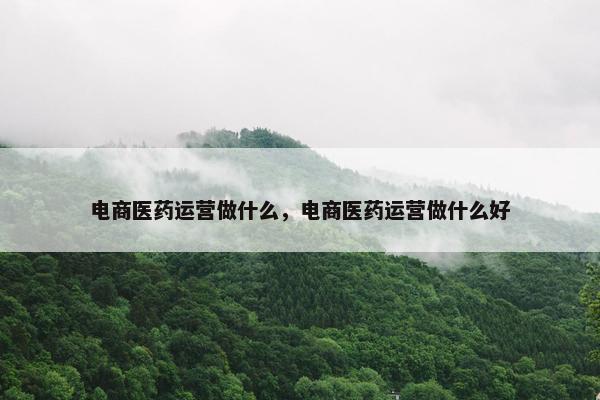 电商医药运营做什么，电商医药运营做什么好