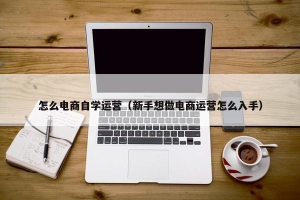 怎么电商自学运营（新手想做电商运营怎么入手）