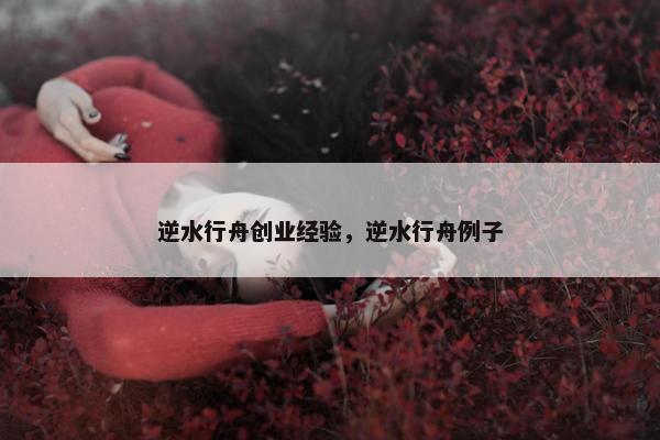 逆水行舟创业经验，逆水行舟例子