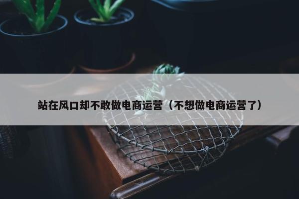 站在风口却不敢做电商运营（不想做电商运营了）