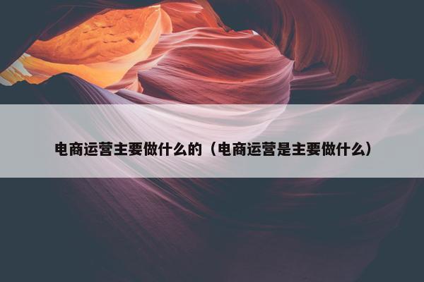 电商运营主要做什么的（电商运营是主要做什么）