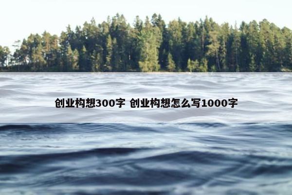 创业构想300字 创业构想怎么写1000字