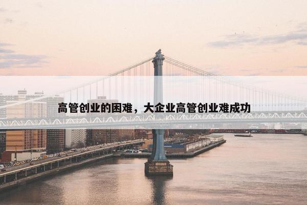 高管创业的困难，大企业高管创业难成功