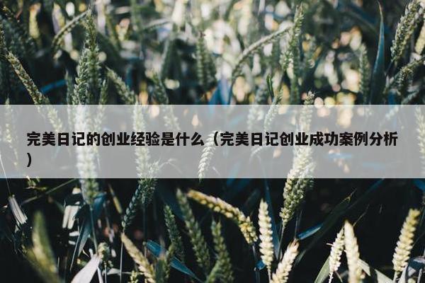 完美日记的创业经验是什么（完美日记创业成功案例分析）