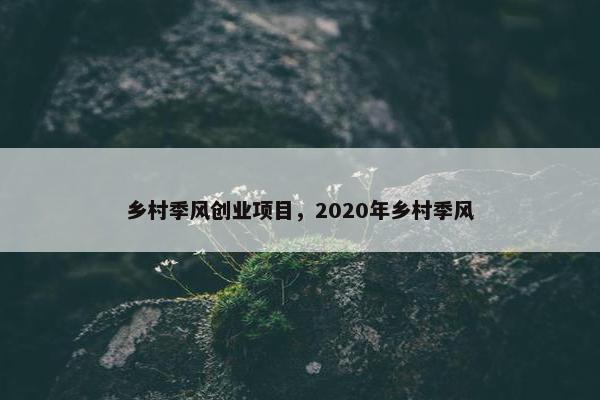 乡村季风创业项目，2020年乡村季风