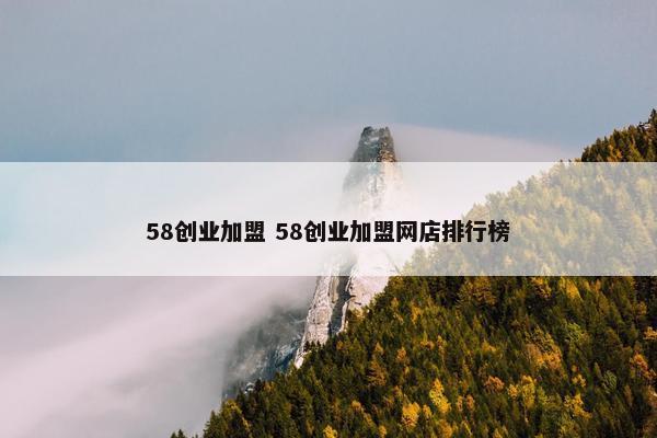 58创业加盟 58创业加盟网店排行榜