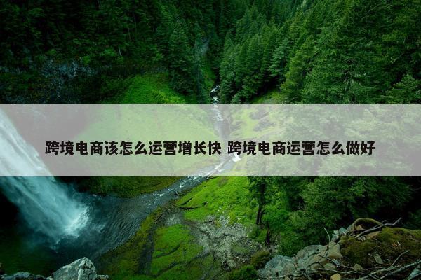 跨境电商该怎么运营增长快 跨境电商运营怎么做好