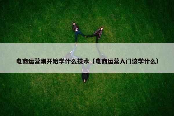 电商运营刚开始学什么技术（电商运营入门该学什么）