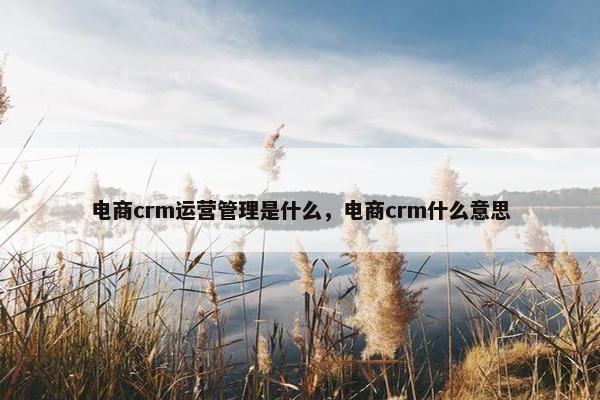 电商crm运营管理是什么，电商crm什么意思