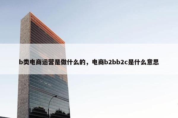 b类电商运营是做什么的，电商b2bb2c是什么意思