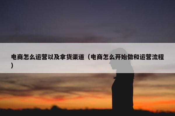 电商怎么运营以及拿货渠道（电商怎么开始做和运营流程）