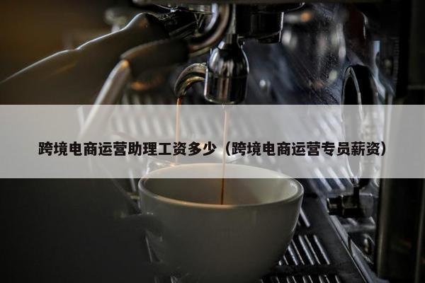 跨境电商运营助理工资多少（跨境电商运营专员薪资）