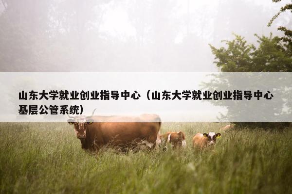 山东大学就业创业指导中心（山东大学就业创业指导中心基层公管系统）