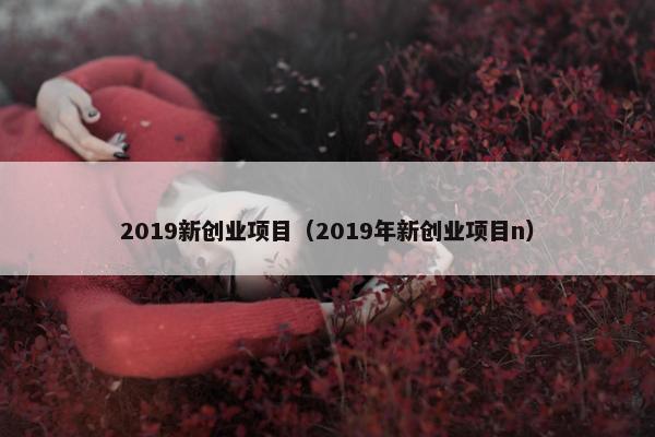 2019新创业项目（2019年新创业项目n）