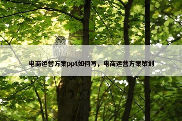 电商运营方案ppt如何写，电商运营方案策划