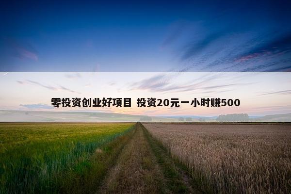 零投资创业好项目 投资20元一小时赚500