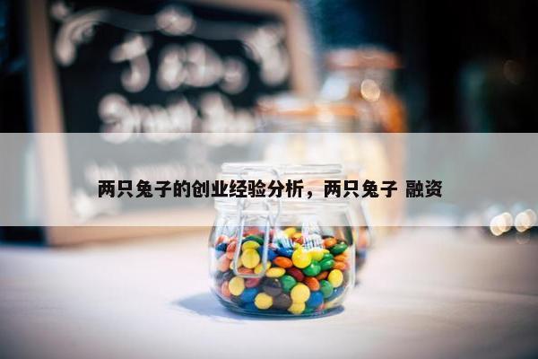 两只兔子的创业经验分析，两只兔子 融资