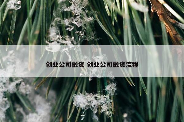 创业公司融资 创业公司融资流程