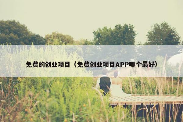 免费的创业项目（免费创业项目APP哪个最好）