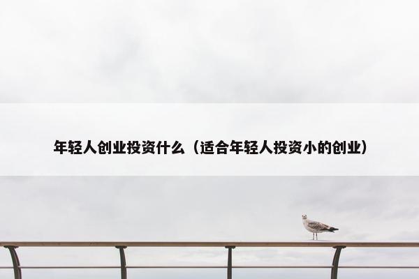 年轻人创业投资什么（适合年轻人投资小的创业）