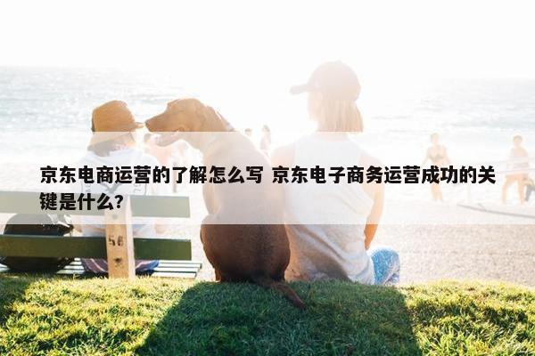 京东电商运营的了解怎么写 京东电子商务运营成功的关键是什么?