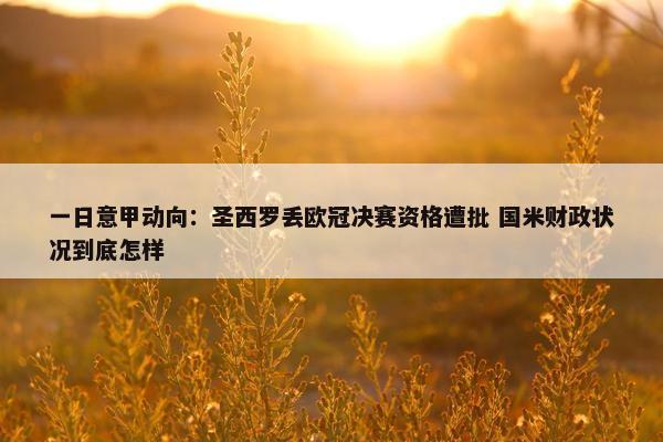 一日意甲动向：圣西罗丢欧冠决赛资格遭批 国米财政状况到底怎样