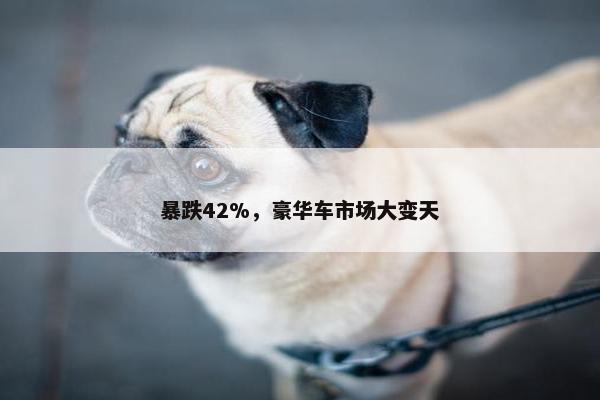 暴跌42%，豪华车市场大变天