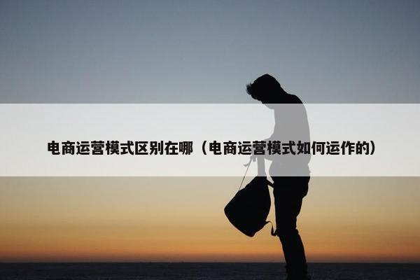 电商运营模式区别在哪（电商运营模式如何运作的）