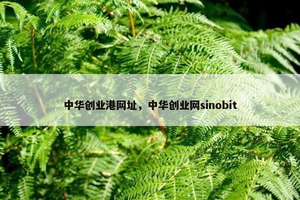 中华创业港网址，中华创业网sinobit