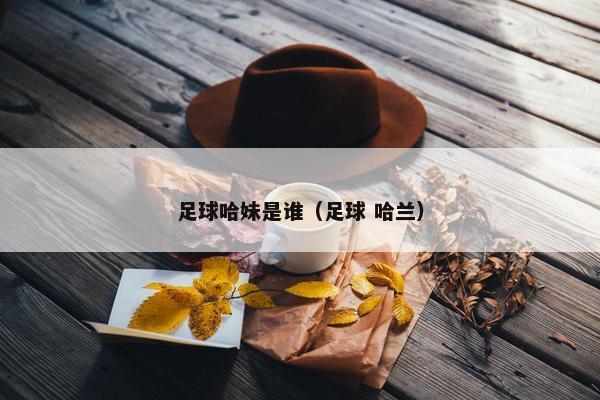 足球哈妹是谁（足球 哈兰）