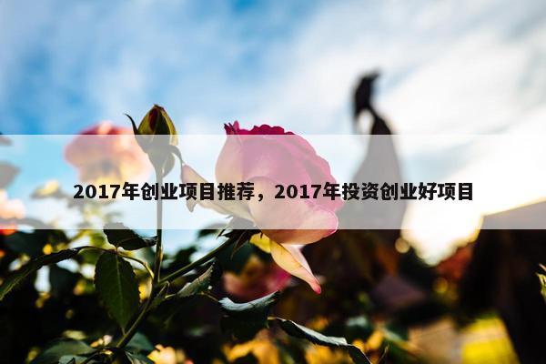 2017年创业项目推荐，2017年投资创业好项目