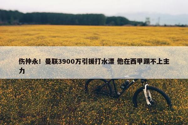 伤仲永！曼联3900万引援打水漂 他在西甲踢不上主力