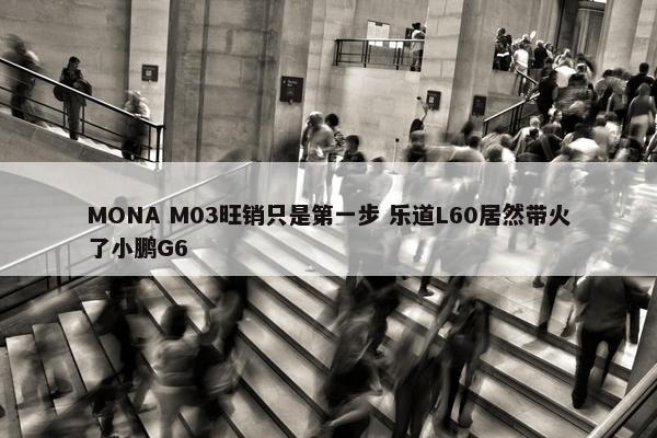 MONA M03旺销只是第一步 乐道L60居然带火了小鹏G6