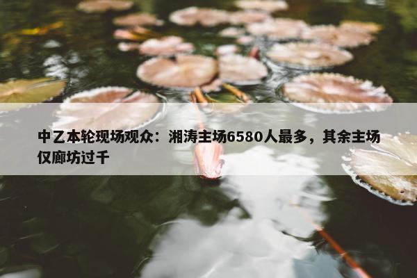 中乙本轮现场观众：湘涛主场6580人最多，其余主场仅廊坊过千