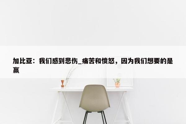 加比亚：我们感到悲伤_痛苦和愤怒，因为我们想要的是赢