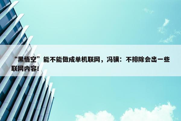 “黑悟空”能不能做成单机联网，冯骥：不排除会出一些联网内容！