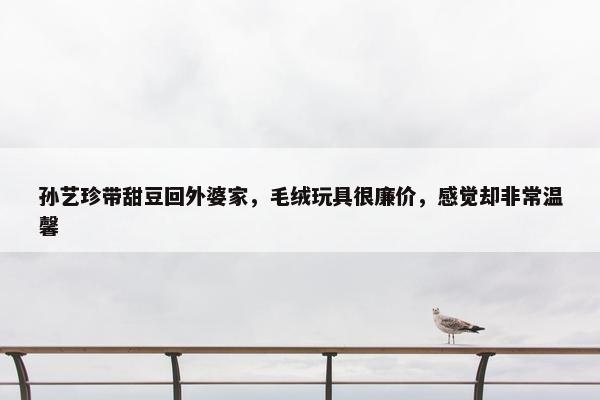 孙艺珍带甜豆回外婆家，毛绒玩具很廉价，感觉却非常温馨