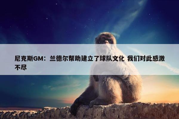 尼克斯GM：兰德尔帮助建立了球队文化 我们对此感激不尽