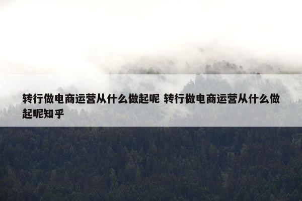 转行做电商运营从什么做起呢 转行做电商运营从什么做起呢知乎