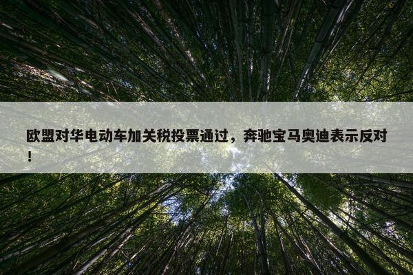 欧盟对华电动车加关税投票通过，奔驰宝马奥迪表示反对！