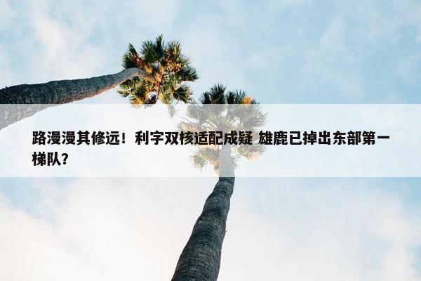 路漫漫其修远！利字双核适配成疑 雄鹿已掉出东部第一梯队？