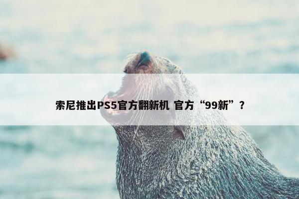 索尼推出PS5官方翻新机 官方“99新”？