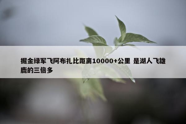 掘金绿军飞阿布扎比距离10000+公里 是湖人飞雄鹿的三倍多