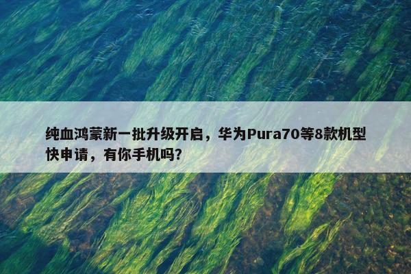 纯血鸿蒙新一批升级开启，华为Pura70等8款机型快申请，有你手机吗？