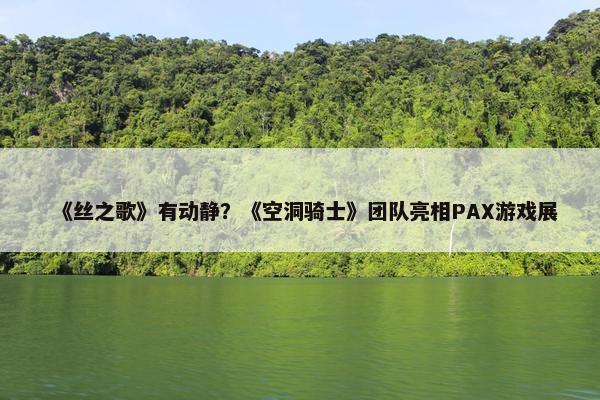 《丝之歌》有动静？《空洞骑士》团队亮相PAX游戏展