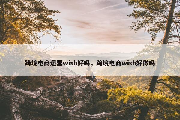 跨境电商运营wish好吗，跨境电商wish好做吗