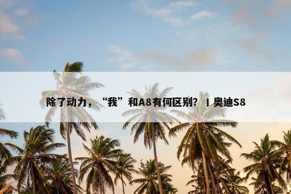 除了动力，“我”和A8有何区别？丨奥迪S8