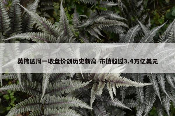 英伟达周一收盘价创历史新高 市值超过3.4万亿美元