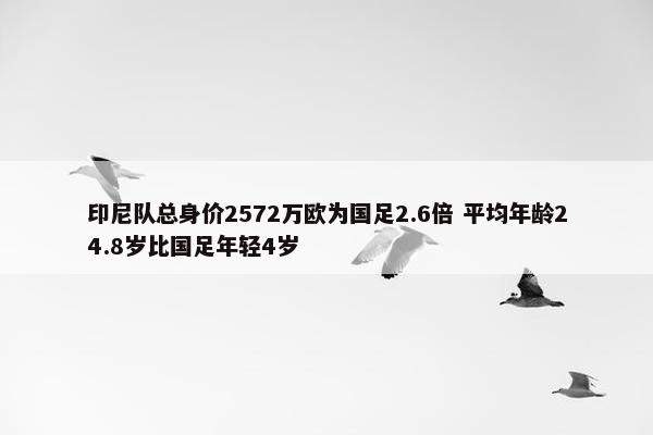 印尼队总身价2572万欧为国足2.6倍 平均年龄24.8岁比国足年轻4岁